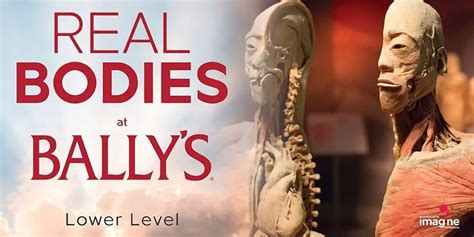 bally real bodies 5 discount